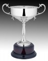 R T 73 straight sided silver cup